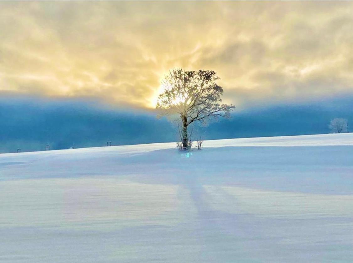 Flora & Fauna (adults Only) 3* Winterberg
