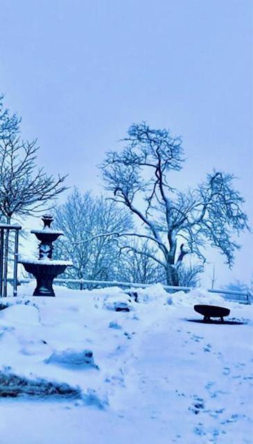 Flora & Fauna (adults Only) 3* Winterberg
