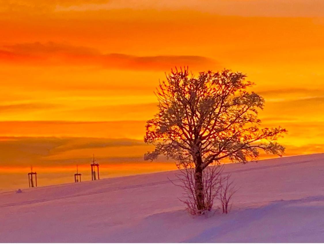 Flora & Fauna (adults Only) Winterberg