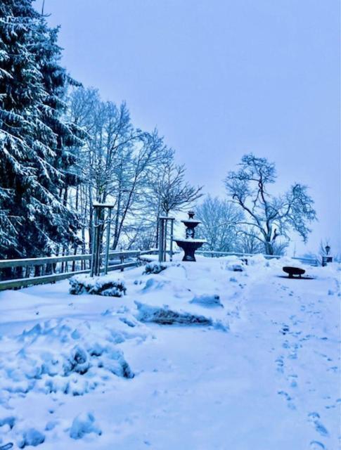 Flora & Fauna (adults Only) Winterberg