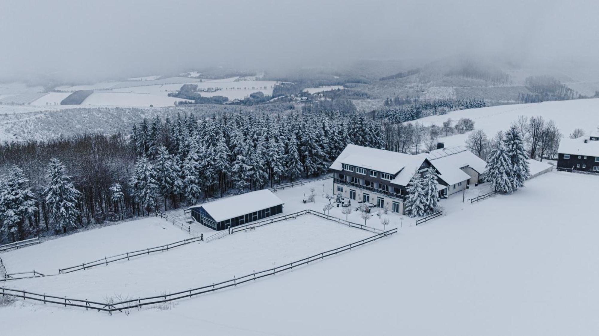 Flora & Fauna (adults Only) Hotel
