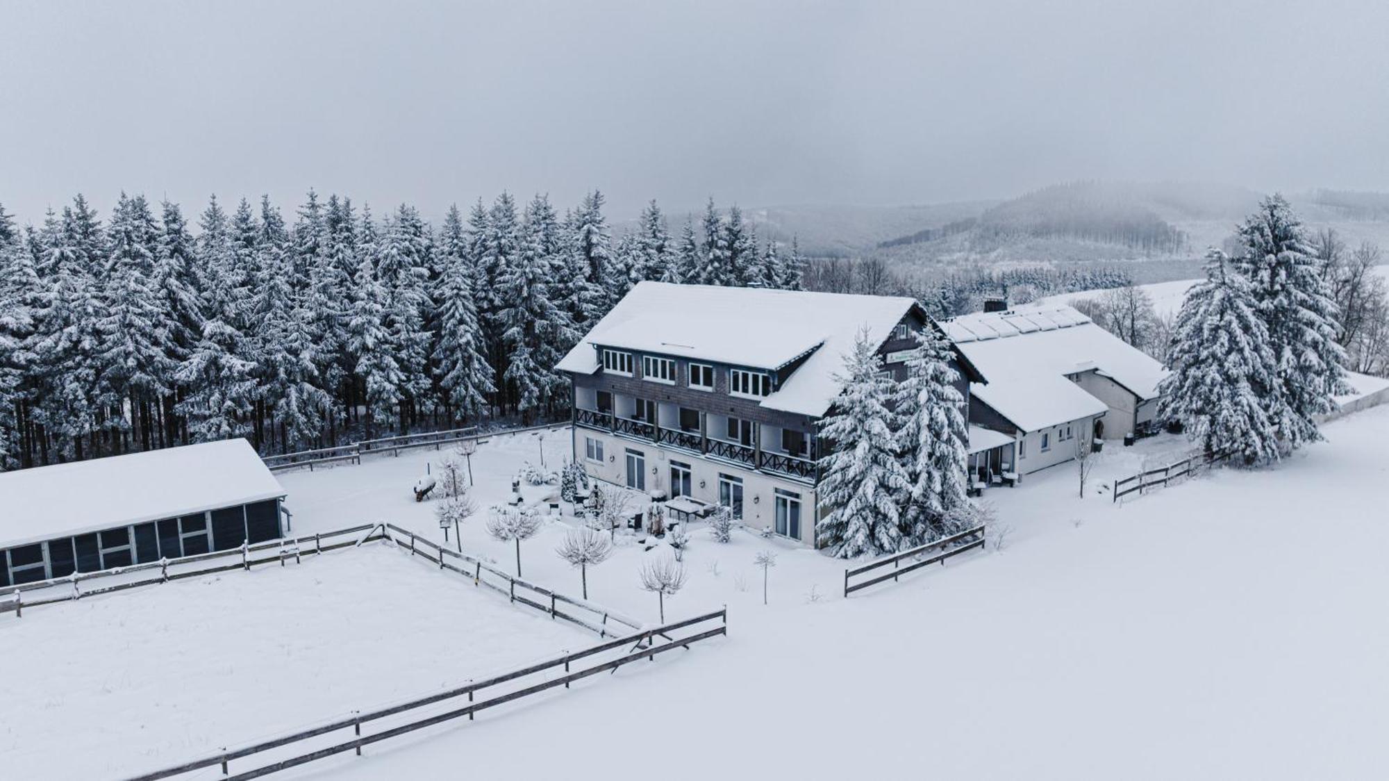 Flora & Fauna (adults Only) Winterberg