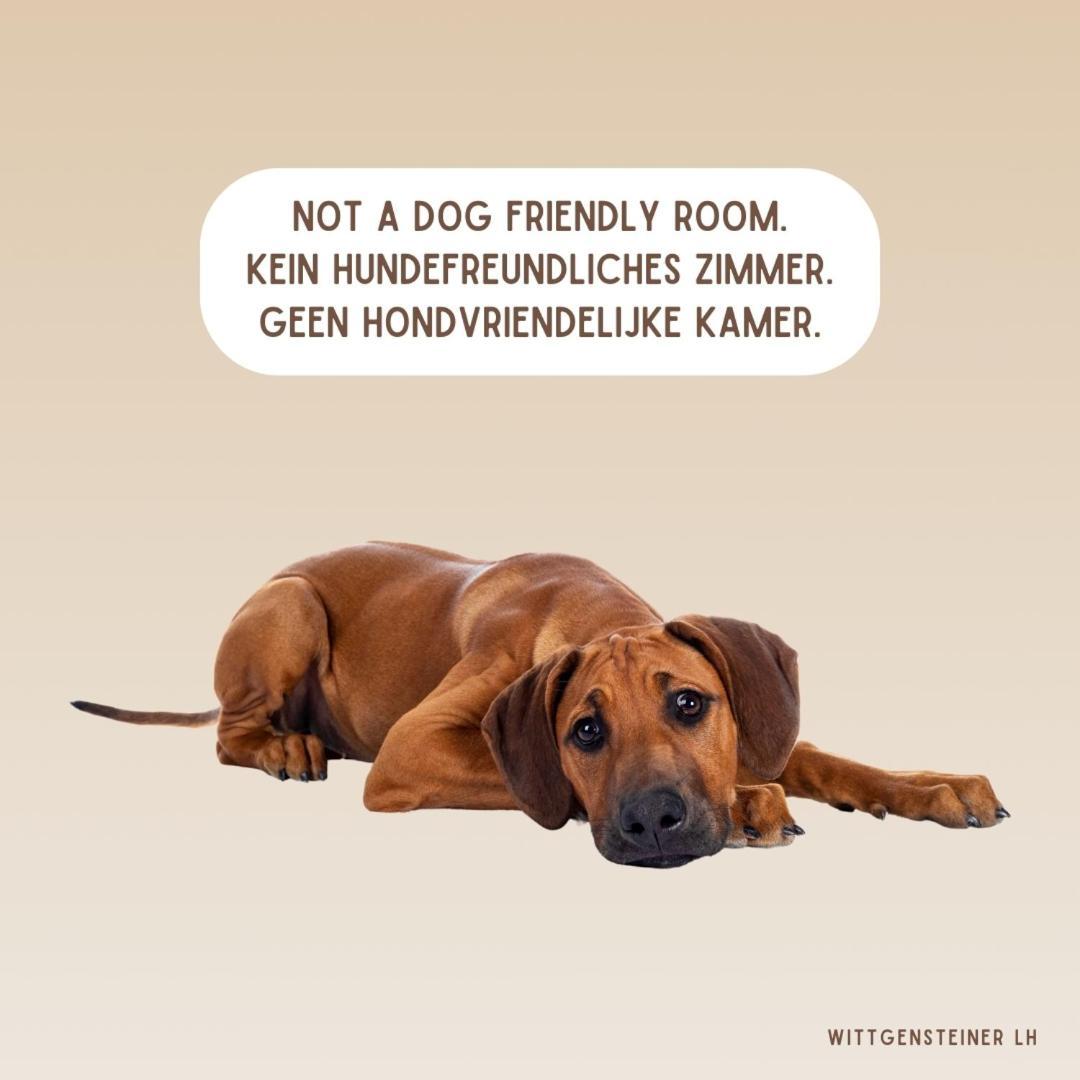 Flora & Fauna (adults Only) Winterberg